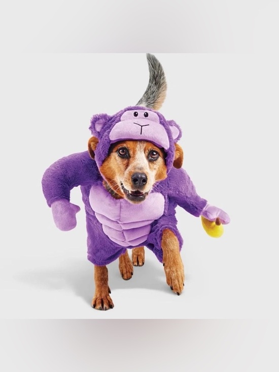 Other - Hyde & Eek! Purple Gorilla Pet Costume XL With Hood & Toy